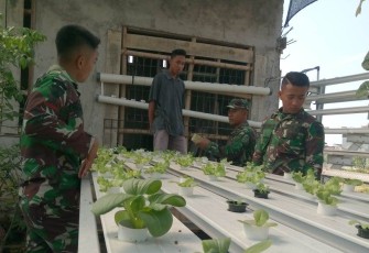 TNI Satgas TMMD Ajarkan Budidaya Tanaman Hidroponik
