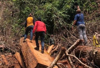 Tim melakukan pengerebekan pembalakan kanyu secara ilegal di Kecamatan Babahrot Abdya.