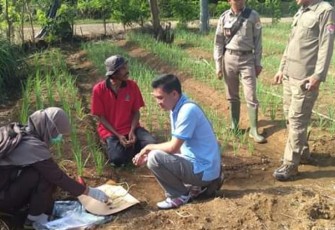 Kabid Penyuluh Pertanian Dinas Pertanian Mukomuko Elxsandi Utria Darma