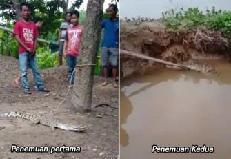 pasca kemuculan anak buaya di dua lokasi berbeda
