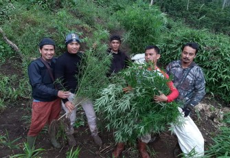 Tim Sat Narkoba Polres Rejang Lebong saat melakukan pemusnahan dan mengamankan sebagian barang bukti