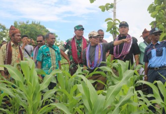 Bupati Kupang Bersama Forkopimda dan Poktan Tanam HMT Lamtoro Teramba