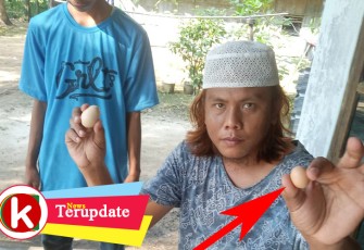 Ibnu saat membandingkan telur normal dan telur mini miliknya