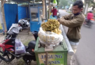 Jualan Jagung Manis Menjanjikan