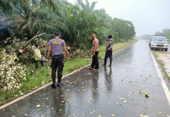 Anggota Polres Mukomuko Dibantu Warga Bersihkan Pohon Tumbang 
