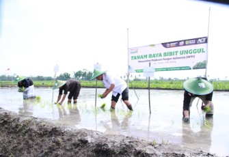 ACT Malang-Global Wakaf Tanam Bibit HMS 700 di Pandanmulyo Tajnan