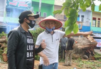 DLH Kota Bengkulu Akan Lakukan Pemangkasan Rutin