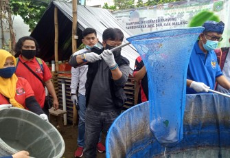 Peternak Lele Malang Raya Butuh Bantuan Modal Pemerintah