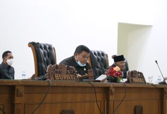 Wakil Ketua 1 DPRD Andrian Defandra SE MSi