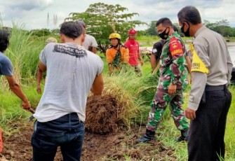 Serka Suryanto dan Sertu Suparno Babinsa Kelurahan Sewu Koramil 04/Jebres Kodim 0735/Surakarta bersinergi dengan Bhabinkamtibmas Aiptu Suwardi membantu Tim SIBAT dalam kegiatan pencabutan tanaman akar wangi di bantaran sungai Bengawan Solo