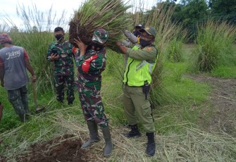 Babinsa Koramil 04/Jebres Kodim 0735/Surakarta Serka Suryanto dan Sertu Suparno bersinergi dengan Bhabinkamtibmas Aiptu Suwardi Serta relawan Sibat mendampingi kunjungan dan pemberian tanaman akar wangi kepada Muspida Kabupaten Madiun dalam kegiatan pengambilan tumbuhan akar wangi di bantaran sungai Bengawan solo Kelurahan Sewu Kecamatan Jebres Surakarta,Jum'at, (19/2/2021).