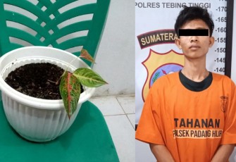 Pencuri Bunga di Tebing Tinggi Ditangkap Unit Reskrim Padang Hilir 