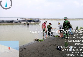 Penanaman Pohon Mangrove di Lokasi TMMD 110 Karawang