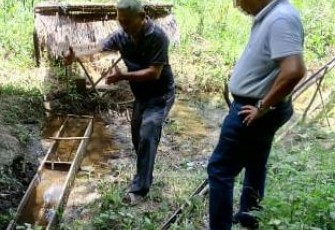Pengembangan Serai Wangi Berpotensi di Aceh Singkil