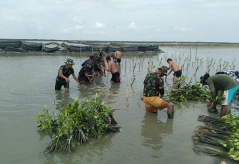 Lestarikan Ekosistem di Pesisir Pantai Desa Sedari