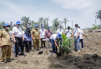 Bupati dan Wabup Asahan Tanam Perdana Bibit Pohon Sawit