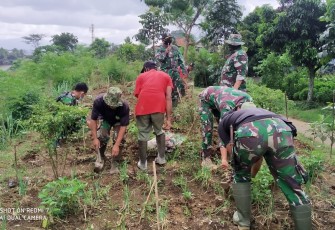 Kolonel Inf Jefson Marisano Dansektor 7 Satgas Citarum Harum bersama anggota Sub Sektor Andir serta warga masyarakat setempat melaksanakan kegiatan panen bawang merah bertempat di Subsektor Andir Kecamatan Baleendah Kabupaten Bandung, Selasa (6/4/2021).