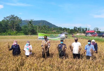 Foto Panen Bersama 