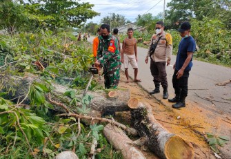 Tak Kenal Hari Libur, Babinsa Kodim 1203/ktp Ajak Warga Gotong-Royong Tebang Pohon Rapuh Di Tepi Jalan