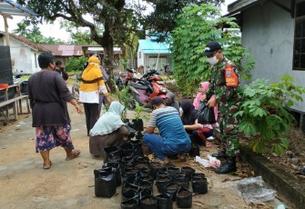 Bersama Ibu-Ibu PKK,  Babinsa Desa Baru Kodim 1203/Ktp Budidayakan Tanaman Obat Untuk Keluarga