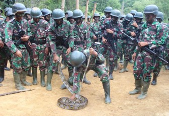 Yonif Raider Khusus 136/TS Gelar Latihan Pertempuran Hutan 'Jungle war'