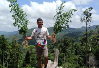  Temuan Ladang Ganja