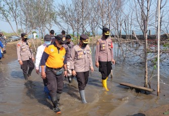 Kapolres Pekalongan Kota, Tanam Ribuan Bibit Pohon Mangrove, Mageri Segoro Di Daerah Pesisir Selasa (12/10/2021). 