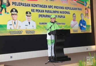 Gubernur H Ansar Ahmad 