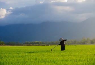 Foto Ilustrasi     