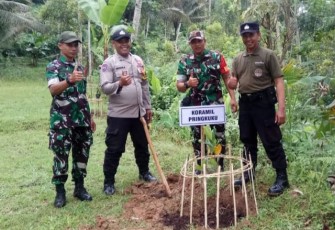Aksi peduli lingkungan dengan penanaman pohon 