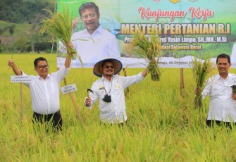 Kementan saat panen raya padi