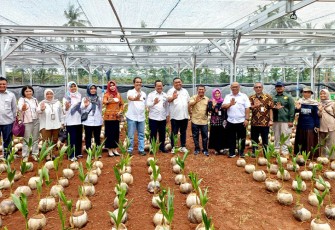 Dirjen Perkebunan Andi Nur Alam Syah saat meninjau nursery modern kelapa di Desa Beji, Kecamatan Tulis, Kabupaten Batang, Jawa Tengah, Rabu (12/10/2022).