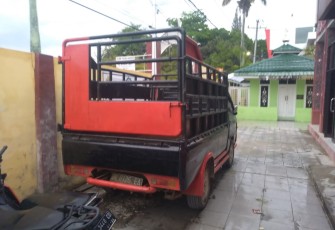  Kendaraan roda empat yang diduga mengangkut kerbau