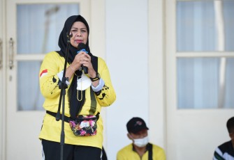 Ketua Tim Penggerak PKK Provinsi Kepri, Hj. Dewi Kumalasari Ansar