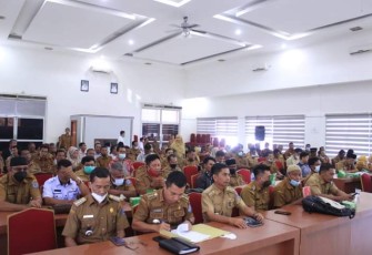 Sosialisasi pengelolaan keuangan desa BumDes yang akuntabel tahun 2022, di ruang data dan karya Kantor Bupati Labuhanbatu, Senin (23/05/2022).