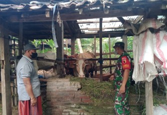 Sertu Sahroni pantau kesehatan hewan ternak warga binaan