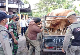 Sasar pasar hewan pantau kesehatan ternak cegah penyebaran virus PMK
