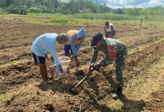 Satgas perbatasan siapkan lahan ketahanan pangan