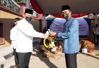 Kapolri saat menyerahkan hewan qurban 