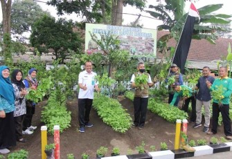 Lahan Urban Farming Menarmed 2 Kostrad Malang