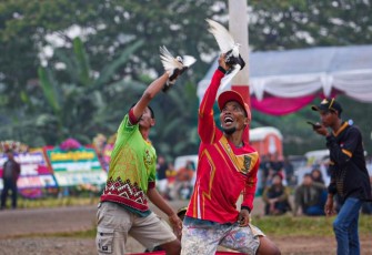 Lomba Merpati Kolong Piala MenKopUKM, di Landasan Udara Rumpin, Bogor, Jawa Barat, Minggu (18/9).