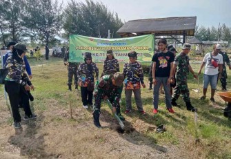 Tanam pohon di pesisir pantai
