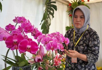 Pameran tanaman hias di Bogor