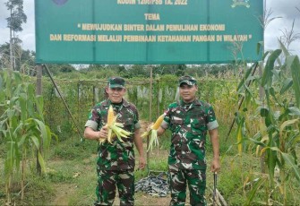 Dandim 1206/PSB Letkol Inf Sri Widodo bersama Tim Asnis Pusterad tinjau demplot tanaman Jagung