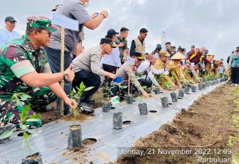 Danrem 023 KS Kolonel Inf Dodi Triwinarto saat tanam bibit pohon bersama Gubsu di Kabupaten Dairi