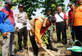 Pj Bupati Pati saat melaksanakan penanaman pohon 