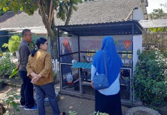Urban Farming Menarmed 2 Kostrad 