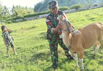 Koptu Sukriadi saat memeriksa ternak warga 