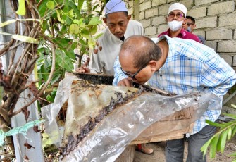 Sekretaris Kementerian Koperasi dan UKM Arif Rahman Hakim, saat mengunjungi peternakan lebah Madu Kalulut milik Ponpes Mihbahul Munir di Banjarbaru, Kalimantan Selatan, Jumat (25/3).