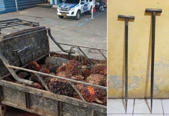 Barang Bukti saat diamankan